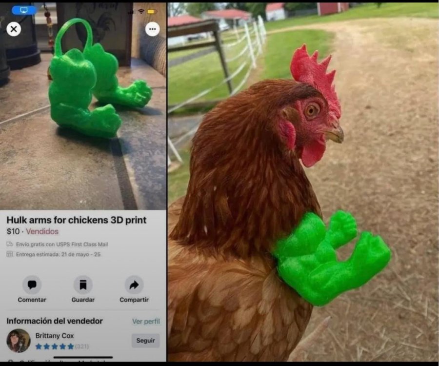 image.thumb.jpeg.7d7bc9b2a01dd2e956b15db10564ec9f.jpeg