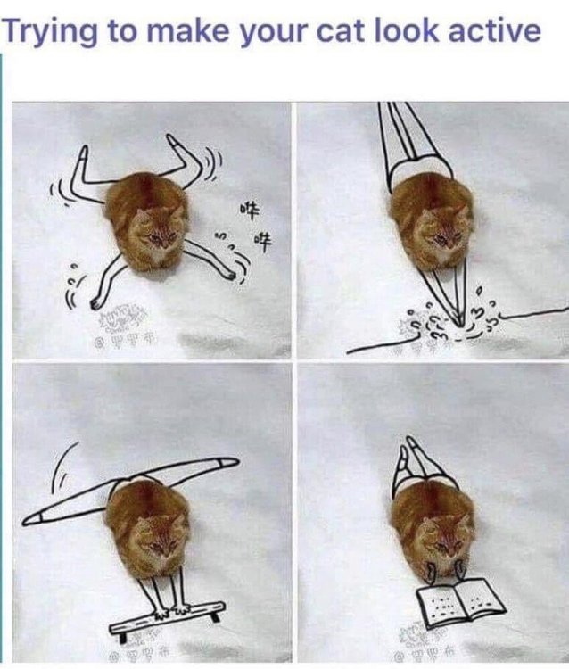image.thumb.jpeg.988c916b682278bbda350fbe59efd4d7.jpeg