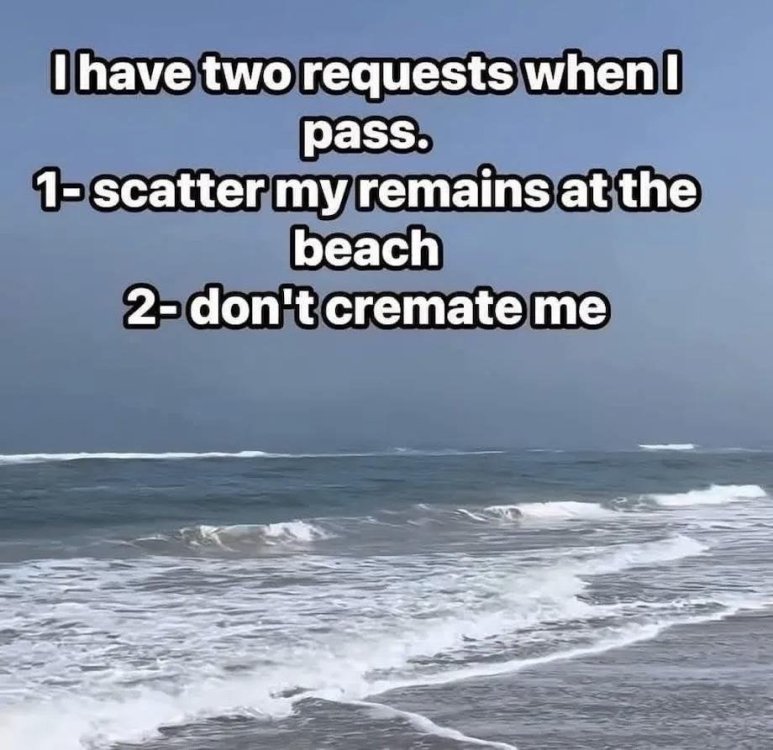 image.thumb.jpeg.c6cc6e8b0dbff1fb94e89438afa70b19.jpeg