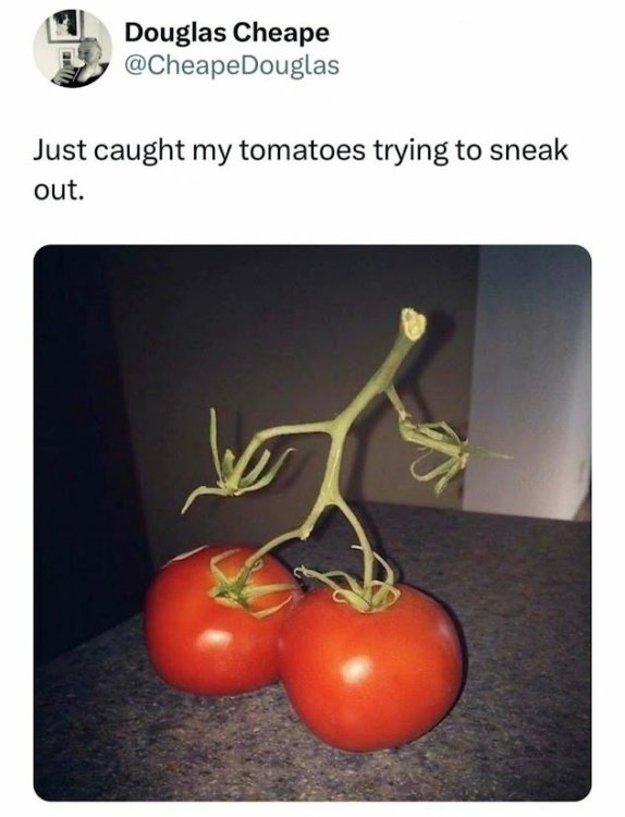 image.thumb.jpeg.dcffa49f9db9de474d5d309b6864276c.jpeg