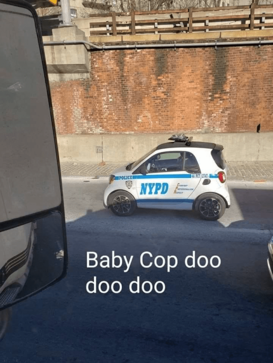 image.thumb.png.2d6a9e52b6dcfa9640dafdf881201026.png